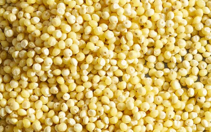 Millet Flour & Grains