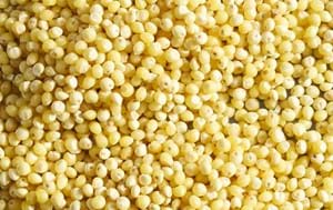 Millet Flour & Grains