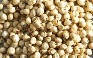 Sorghum Flour & Grains
