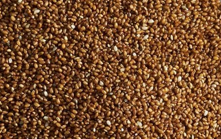 Teff Flour & Grains