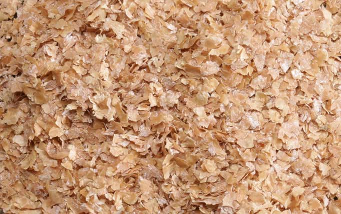 Wheat Bran