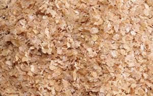 Wheat Bran