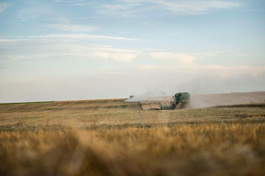 Ardent Mills Adds States to Organic Wheat Producer Program and Organic–Certified Facilities - Image