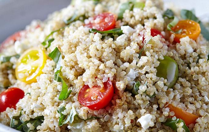 Colorado Quinoa