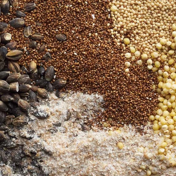 Organic Specialty Grains