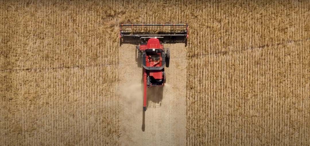 Conversations with Ardent Mills: Nourishing What’s Next - Image