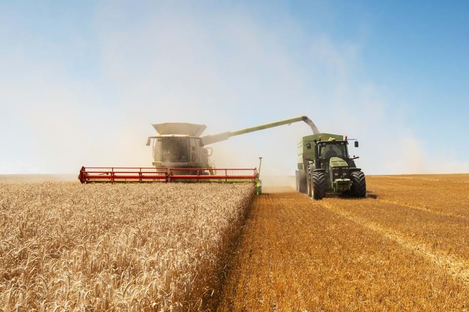 Ardent Mills’ Response to the Coronavirus (COVID-19) Global Pandemic - Image