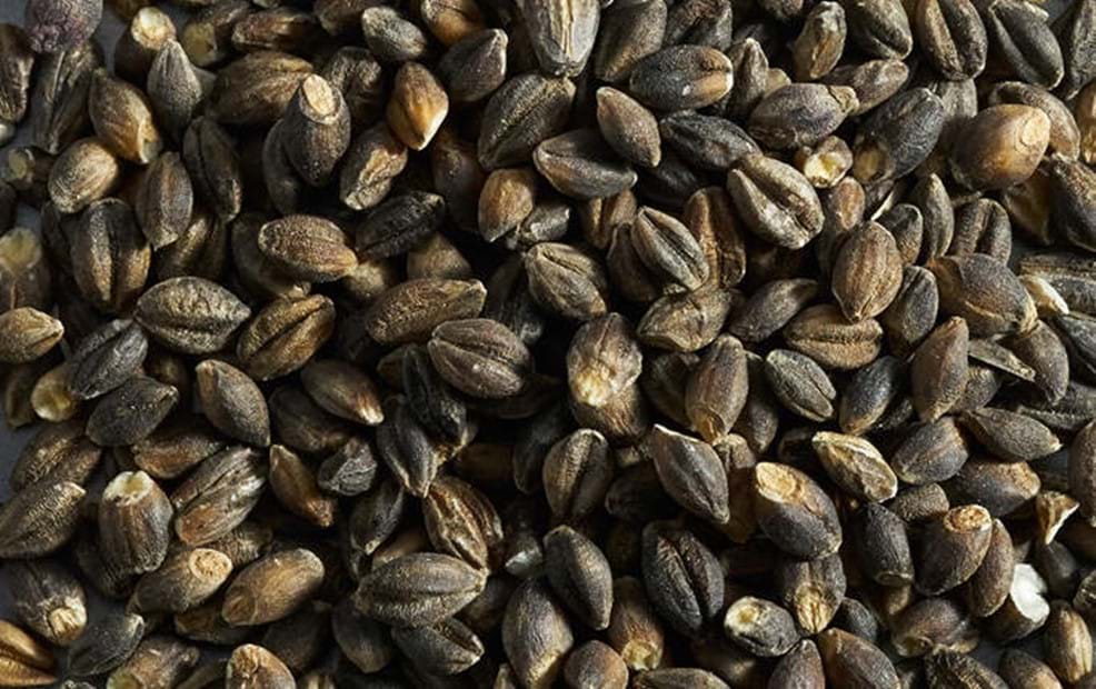 Ardent Mills Furthers Commitment to Organic and Specialty Grain Sourcing by Acquiring Oregon Elevator - Image