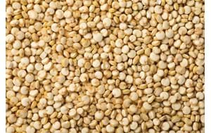 Organic Quinoa